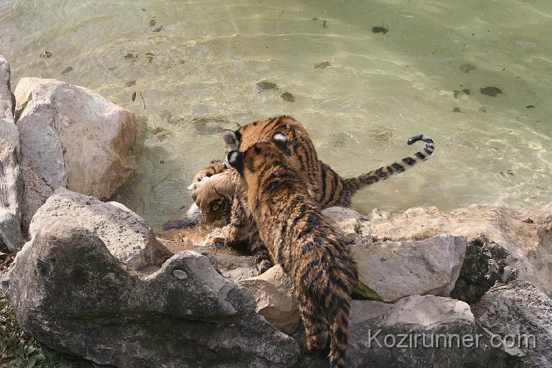 _MG_2872.JPG