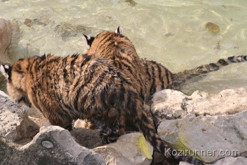 _MG_2874.JPG