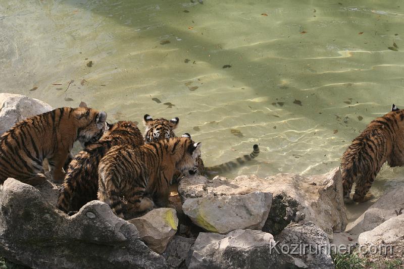 _MG_2878.JPG