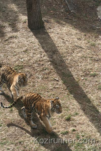_MG_2884.JPG