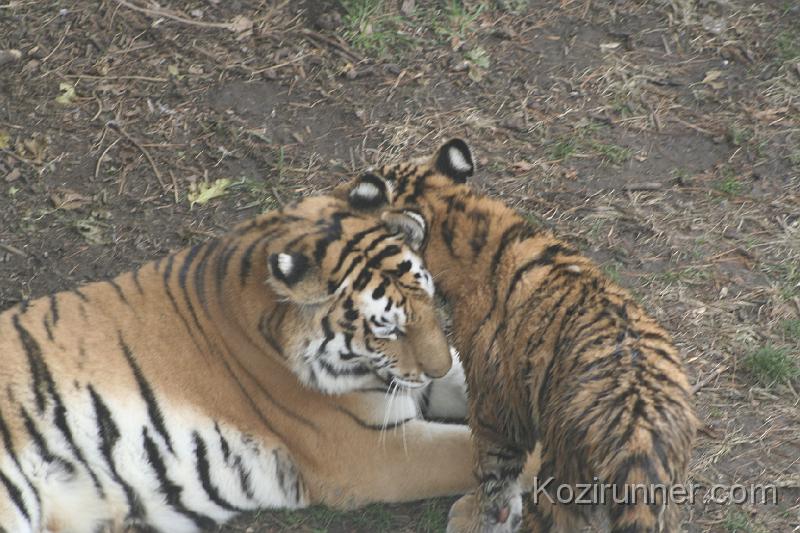 _MG_2888.JPG
