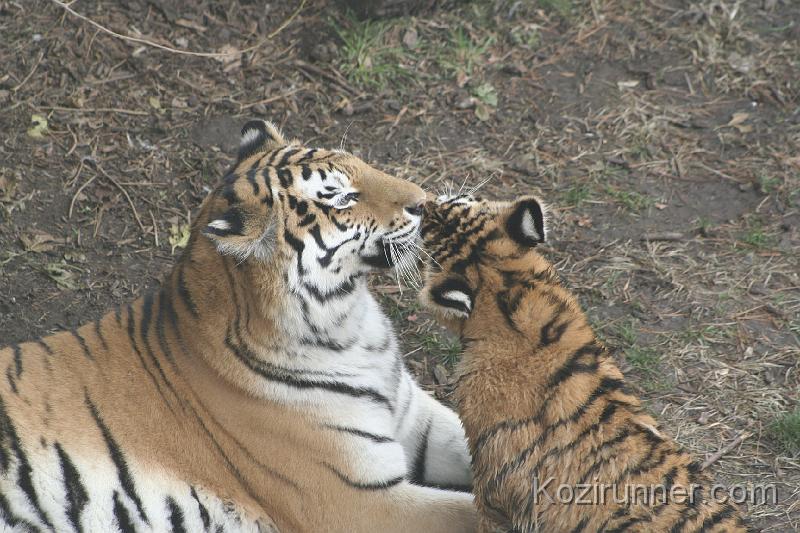 _MG_2890.JPG