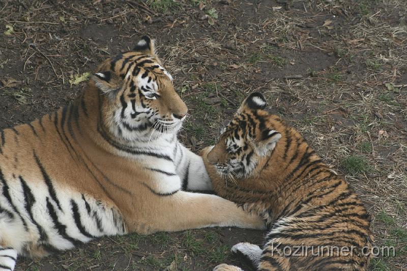_MG_2893.JPG