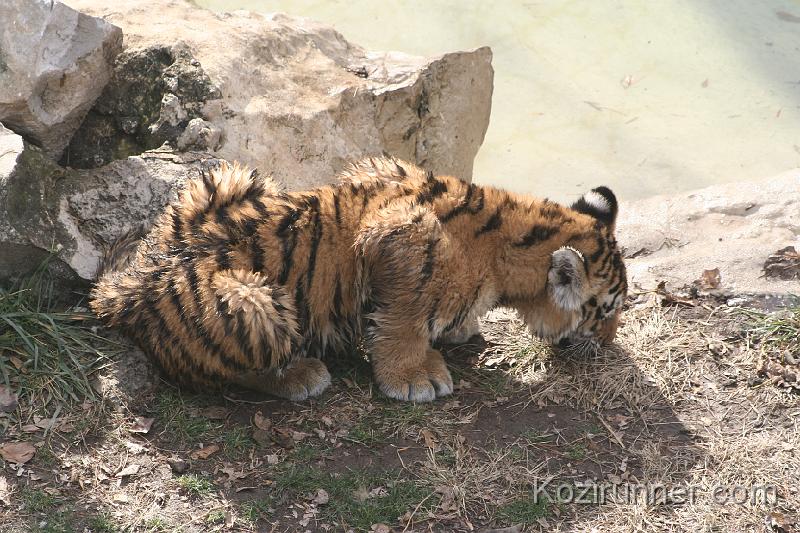 _MG_2899.JPG