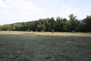 _MG_8674.jpg